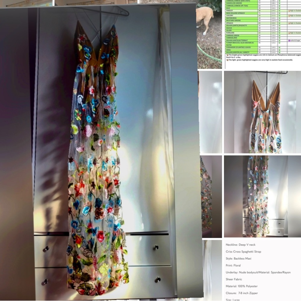 Elegant Multicolor Floral Dress - V-Neck Evening Gown - Picture 5 of 10